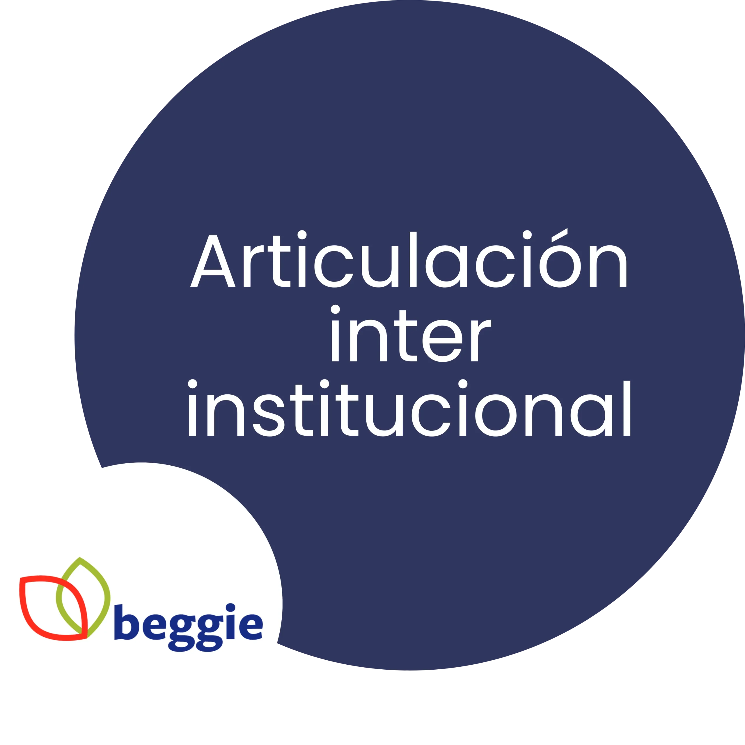 Articulación inter institucional