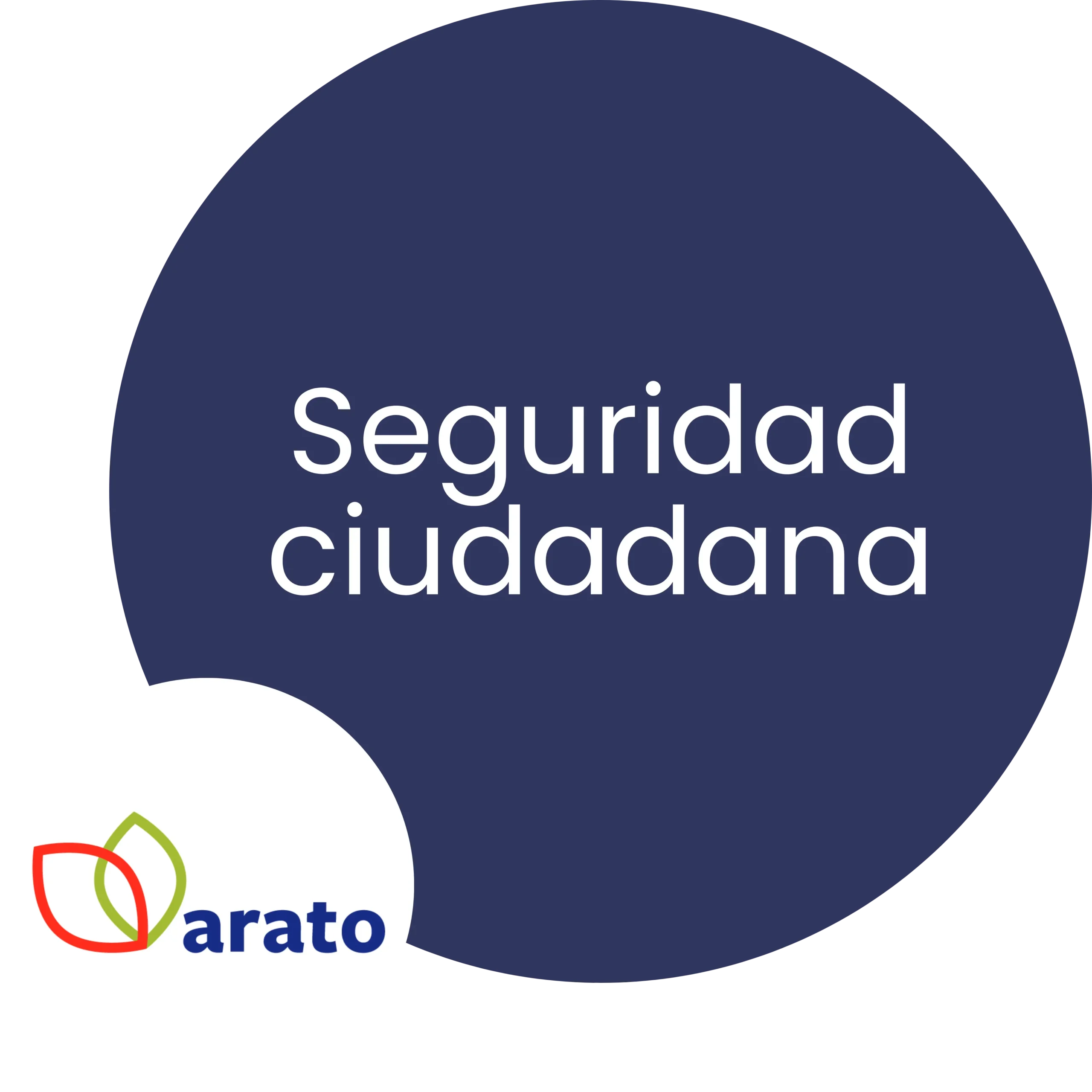 Seguridad ciudadana