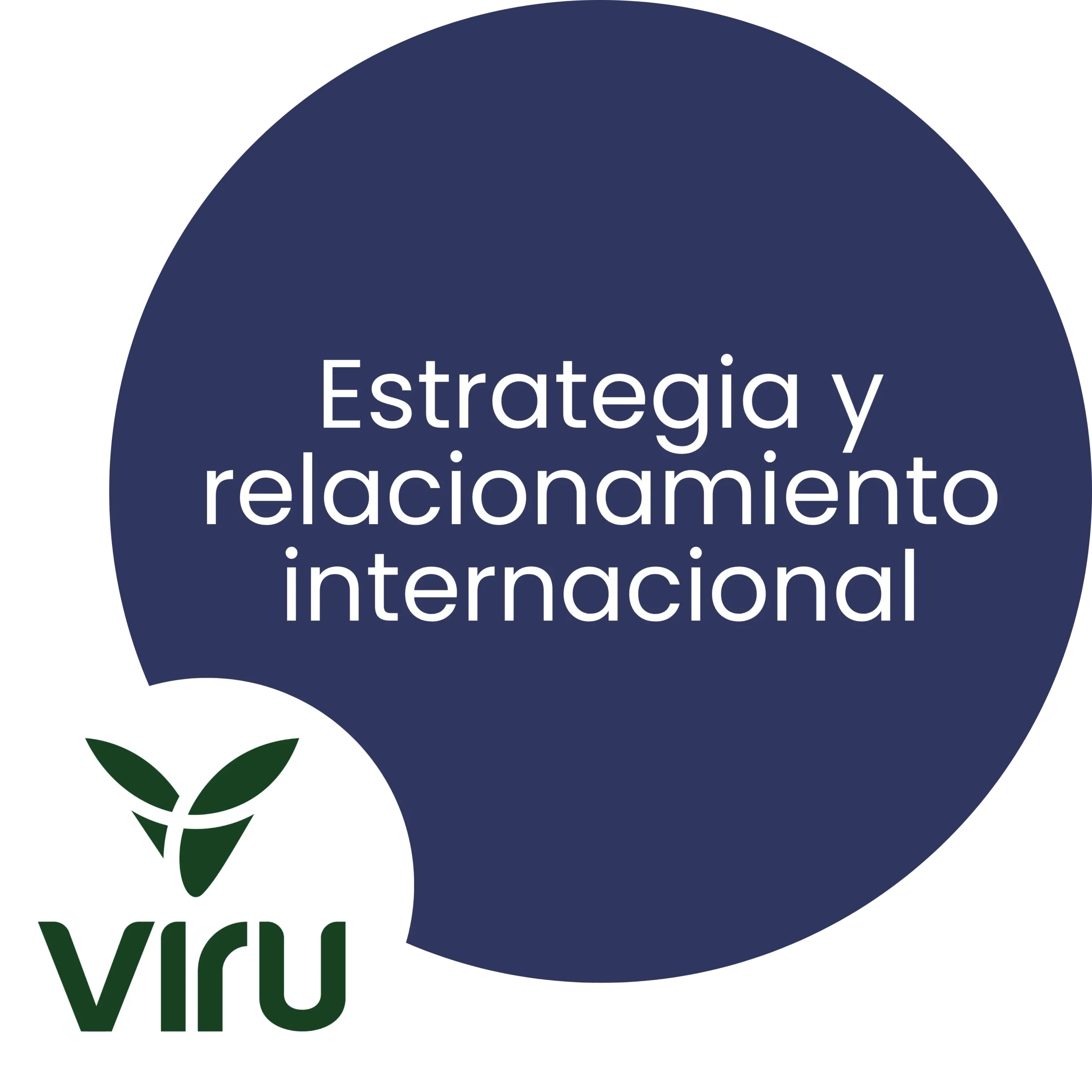 Estrategia y relacionamiento internacional