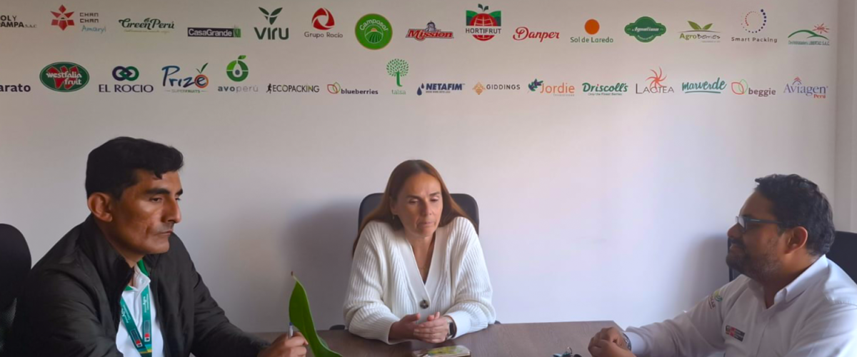 Agroideas